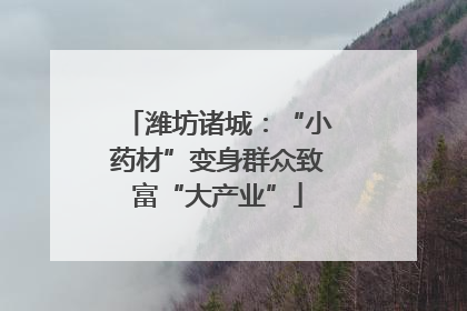 潍坊诸城：“小药材”变身群众致富“大产业”
