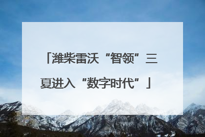 潍柴雷沃“智领”三夏进入“数字时代”