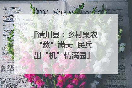 潢川县：乡村果农“愁”满天  民兵出“机”情满园