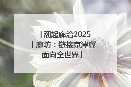 潮起廊洽2025丨廊坊：链接京津冀 面向全世界