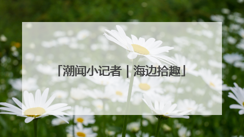潮闻小记者｜海边拾趣
