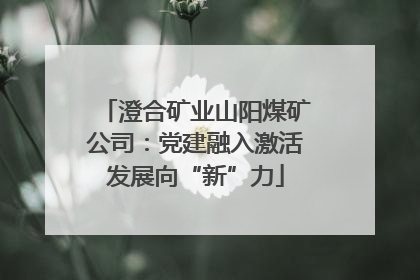 澄合矿业山阳煤矿公司：党建融入激活发展向“新”力