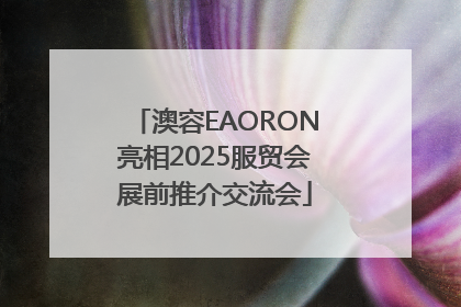 澳容EAORON亮相2025服贸会展前推介交流会