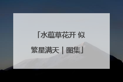 水蕴草花开 似繁星满天｜图集