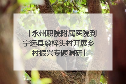 永州职院附属医院到宁远县桑梓头村开展乡村振兴专题调研