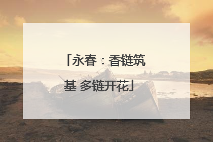 永春：香链筑基 多链开花