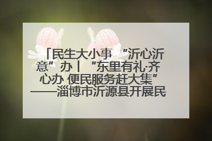 民生大小事 “沂心沂意”办丨“东里有礼·齐心办 便民服务赶大集”——淄博市沂源县开展民生政策宣传活动