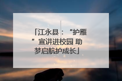 江永县：“护雁”宣讲进校园 助梦启航护成长