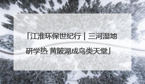江淮环保世纪行｜三河湿地研学热 黄陂湖成鸟类天堂