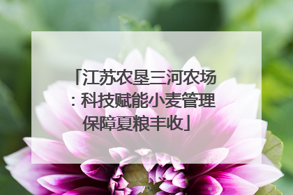 江苏农垦三河农场：科技赋能小麦管理保障夏粮丰收