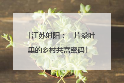 江苏射阳：一片桑叶里的乡村共富密码