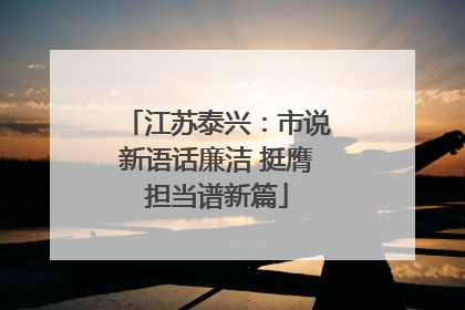 江苏泰兴：市说新语话廉洁 挺膺担当谱新篇