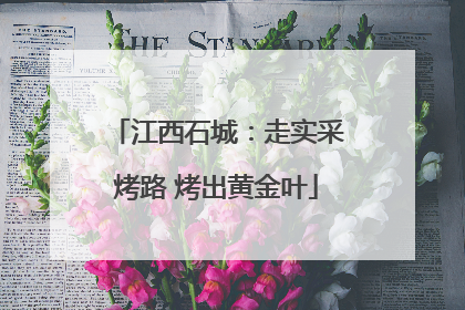 江西石城：走实采烤路 烤出黄金叶