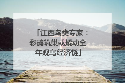 江西鸟类专家：彩鹮筑巢或撬动全年观鸟经济链