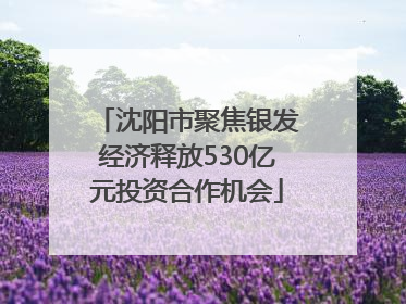 沈阳市聚焦银发经济释放530亿元投资合作机会