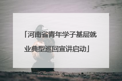 河南省青年学子基层就业典型巡回宣讲启动