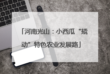 河南光山：小西瓜“撬动”特色农业发展路