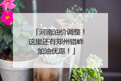 河南油价调整！这里还有郑州错峰加油优惠！