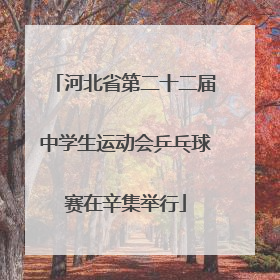 河北省第二十二届中学生运动会乒乓球赛在辛集举行