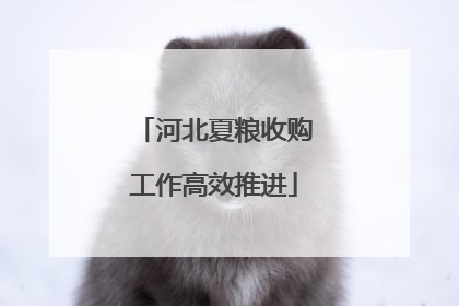 河北夏粮收购工作高效推进