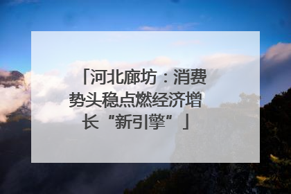 河北廊坊：消费势头稳点燃经济增长“新引擎”
