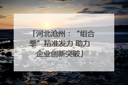 河北沧州：“组合拳”精准发力 助力企业创新突破
