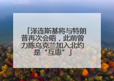 泽连斯基将与特朗普再次会晤，此前曾力陈乌克兰加入北约是“互惠”