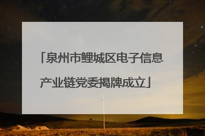 泉州市鲤城区电子信息产业链党委揭牌成立
