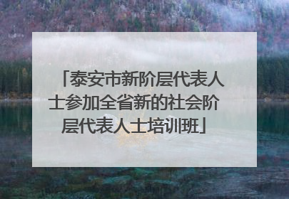 泰安市新阶层代表人士参加全省新的社会阶层代表人士培训班
