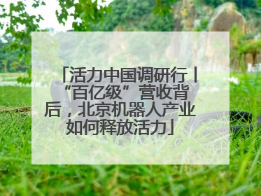 活力中国调研行丨 “百亿级”营收背后，北京机器人产业如何释放活力