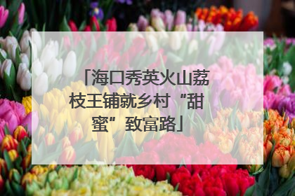 海口秀英火山荔枝王铺就乡村“甜蜜”致富路