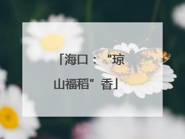 海口：“琼山福稻”香