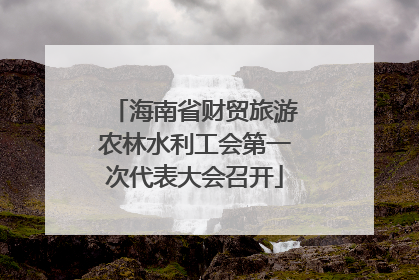海南省财贸旅游农林水利工会第一次代表大会召开