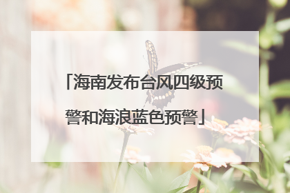 海南发布台风四级预警和海浪蓝色预警