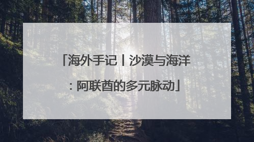 海外手记丨沙漠与海洋：阿联酋的多元脉动