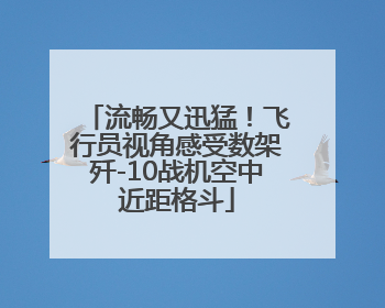流畅又迅猛！飞行员视角感受数架歼-10战机空中近距格斗