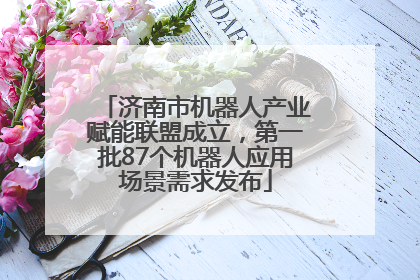 济南市机器人产业赋能联盟成立，第一批87个机器人应用场景需求发布