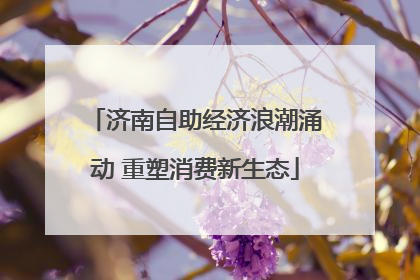 济南自助经济浪潮涌动 重塑消费新生态