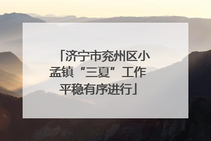 济宁市兖州区小孟镇“三夏”工作平稳有序进行