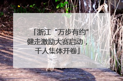 浙江“万步有约”健走激励大赛启动，千人集体开卷