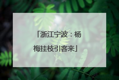 浙江宁波：杨梅挂枝引客来