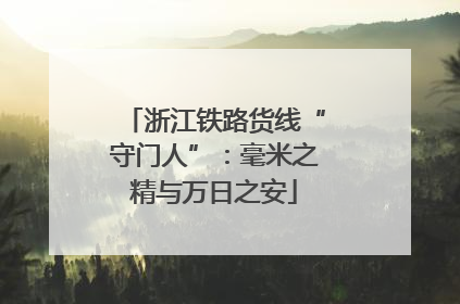 浙江铁路货线“守门人”：毫米之精与万日之安