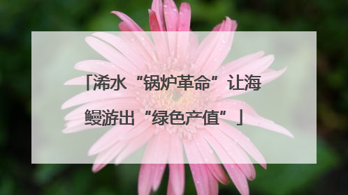 浠水“锅炉革命”让海鳗游出“绿色产值”