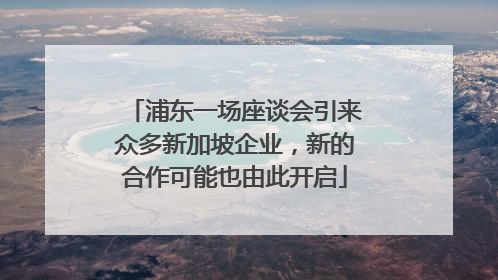 浦东一场座谈会引来众多新加坡企业，新的合作可能也由此开启