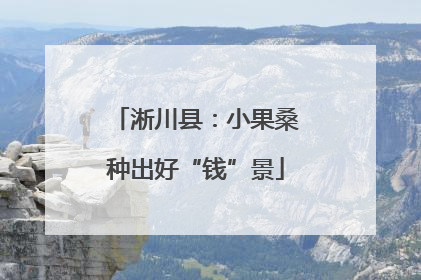 淅川县：小果桑种出好“钱”景