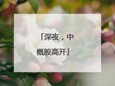 深夜，中概股高开