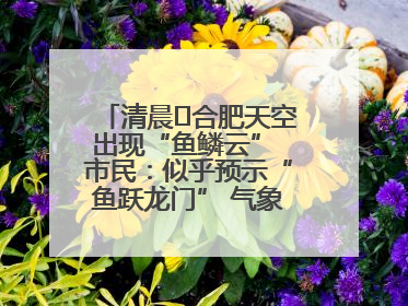 清晨﻿合肥天空出现“鱼鳞云” 市民：似乎预示“鱼跃龙门” 气象专家科普