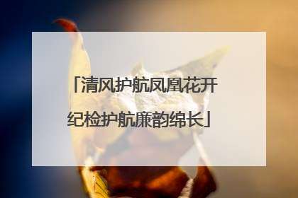 清风护航凤凰花开 纪检护航廉韵绵长