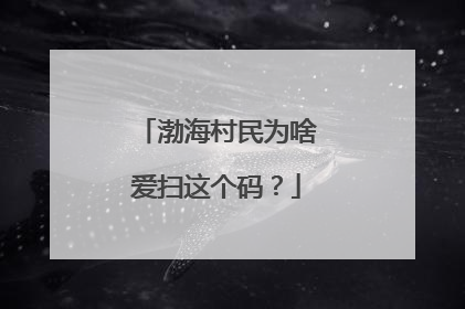 渤海村民为啥爱扫这个码？