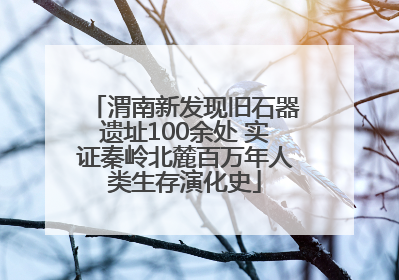 渭南新发现旧石器遗址100余处 实证秦岭北麓百万年人类生存演化史